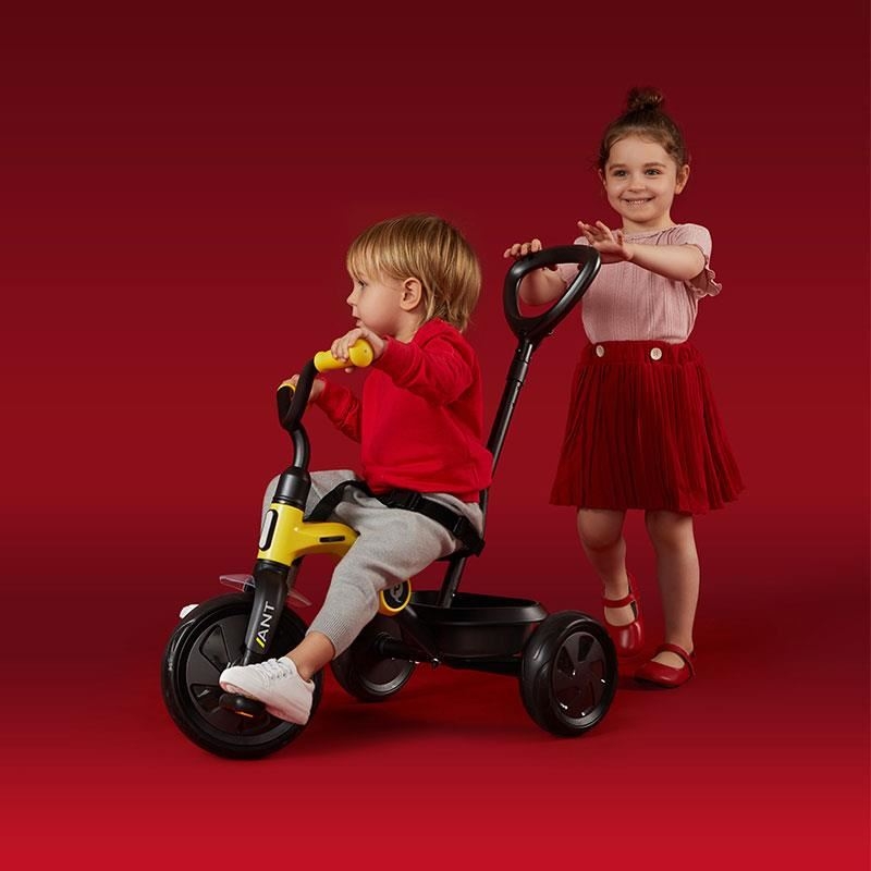 Tricicleta Qplay Ant Plus Roz