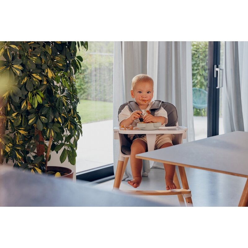 Aparat de gatit, Lionelo, BabyMenu, 5 in 1, Cu functii de gatire la abur, dezghetare, amestecare, incalzire si sterilizare, Cu recipient din tritan, Include meniu cu retete, Personalizare setari, Alb