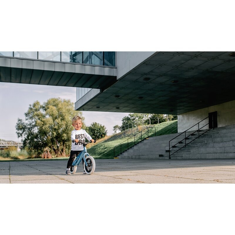 Bicicleta fara pedale, Lionelo, Bart, Usoara, Cu cadru din magneziu, Cu ghidon si sa reglabile, Greutate 3 Kg, 12 inch, Conform cu standardul european de securitate EN71, Blue Violet