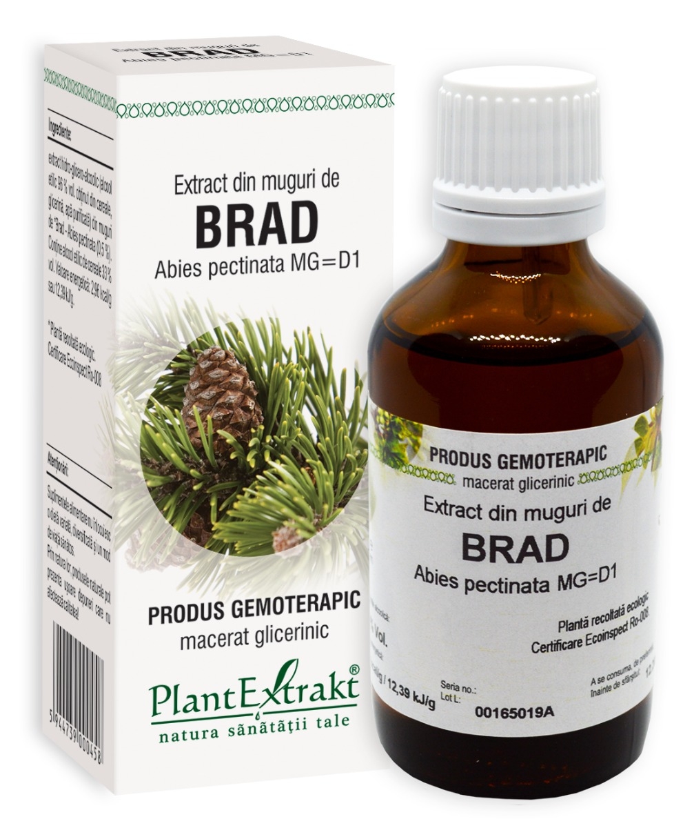 Plantextrakt - Extract din muguri de brad 50ml