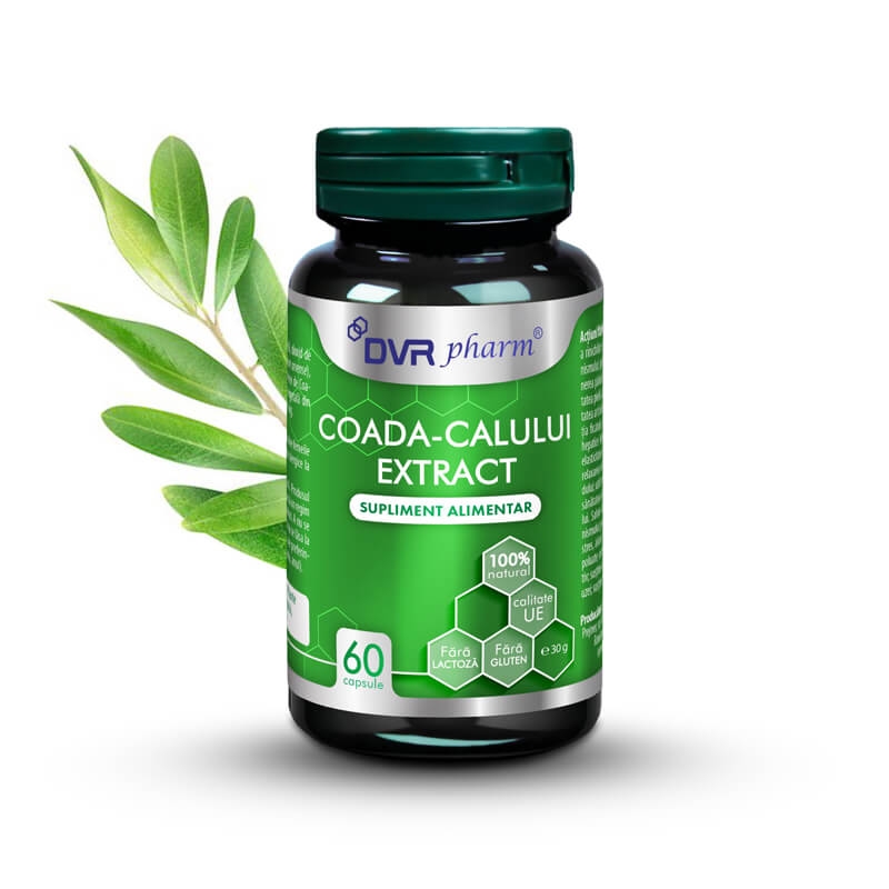 Coada calului extract, 60 capsule, DVR Pharm