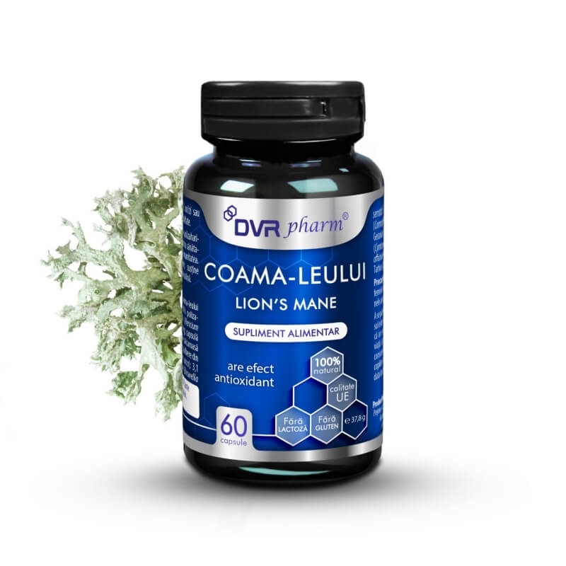 Coama leului, 60 capsule, DVR Pharm