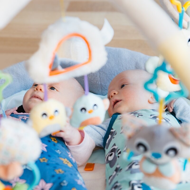 Covoras educational, Playgro, Penguin, Pentru copii, Interactiv, Multifunctional, Pentru activitati fizice, Cu elemente detasabile, 0 luni+, Snuggle Me Penguin Tummy Time Gym-Bag
