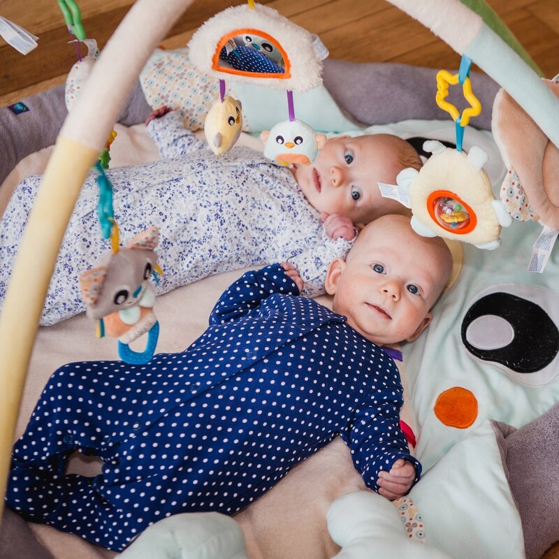 Covoras educational, Playgro, Penguin, Pentru copii, Interactiv, Multifunctional, Pentru activitati fizice, Cu elemente detasabile, 0 luni+, Snuggle Me Penguin Tummy Time Gym-Bag