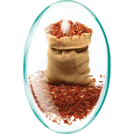 Red Yeast Rice, 90 capsule, Rotta Natura