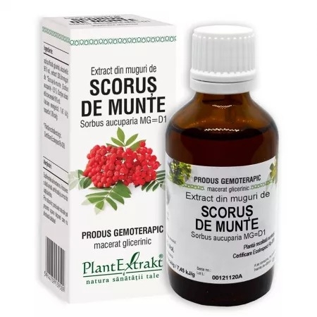 Extract din muguri de scorus, 50 ml, Plantextrakt