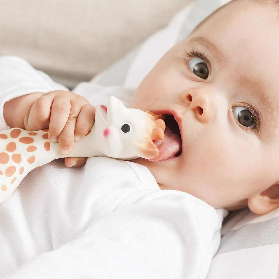 Girafa Sophie in cutie cadou 'Fresh Touch'