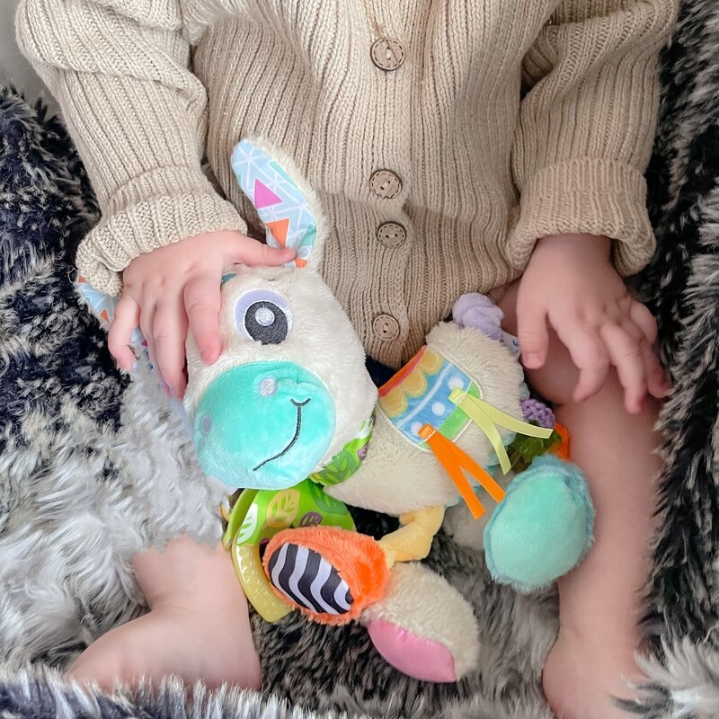 Jucarie carucior sau scaun auto, Playgro, Cu inele pentru dentitie, Cu diverse forme si texturi, Cu sunete si zornaieli, Dezvolta abilitatile motorii si imaginatia, 0 luni+, Sensory Friend Lupe Llama
