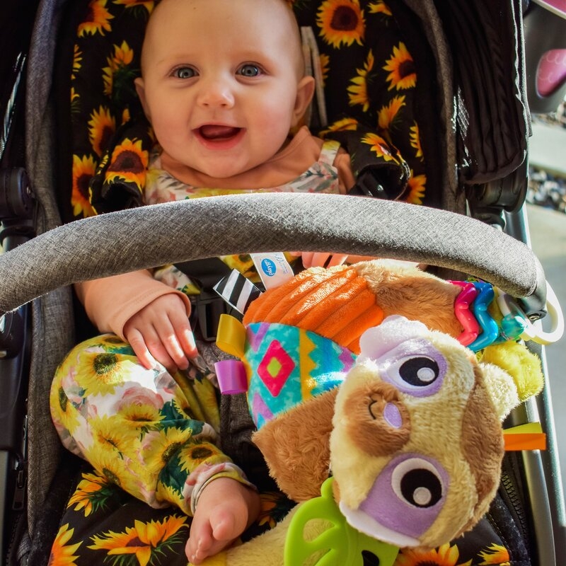 Jucarie carucior sau scaun auto, Playgro, Salo, Cu inele pentru dentitie, Cu diverse forme si texturi, Cu sunete si zornaieli, Dezvolta abilitatile motorii si imaginatia, 0 luni+, Sensory Friend Salo Sloth