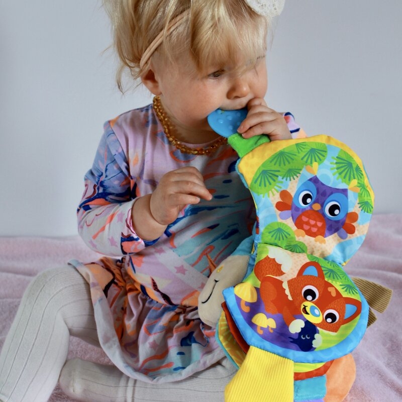 Jucarie din plus, Playgro, Clip Clop, Carticica tactila, Stimuleaza dezvoltarea senzoriala, Cu inele pentru dentitie, Cu diverse forme si texturi, 3 luni+, Musical Clip Clop Teether Book