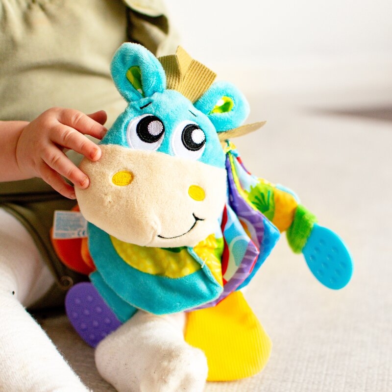 Jucarie din plus, Playgro, Clip Clop, Carticica tactila, Stimuleaza dezvoltarea senzoriala, Cu inele pentru dentitie, Cu diverse forme si texturi, 3 luni+, Musical Clip Clop Teether Book