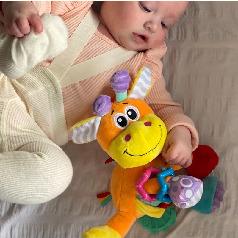 Jucarie din plus, Playgro, Discovery, Stimuleaza dezvoltarea senzoriala, Cu inele pentru dentitie, Cu diverse forme si texturi, 0 luni+, Discovery Friend Giraffe