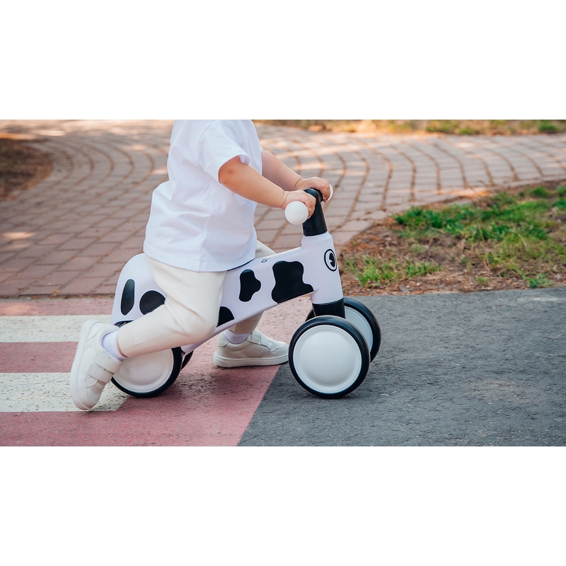 Lionelo - Bicicleta fara pedale, Sammy, Cu 4 roti, Din spuma EVA, Stabila, Manere moi, antiderapante, 12- 36 luni, Greutate maxima suportata 25 kg, Certificata EN 71-1:2014, EN 71-2:2011, EN 71-3:2019, Roz