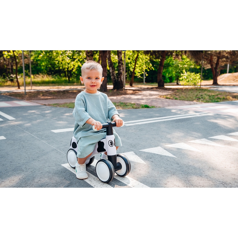 Lionelo - Bicicleta fara pedale, Sammy, Cu 4 roti, Din spuma EVA, Stabila, Manere moi, antiderapante, 12- 36 luni, Greutate maxima suportata 25 kg, Certificata EN 71-1:2014, EN 71-2:2011, EN 71-3:2019, Roz