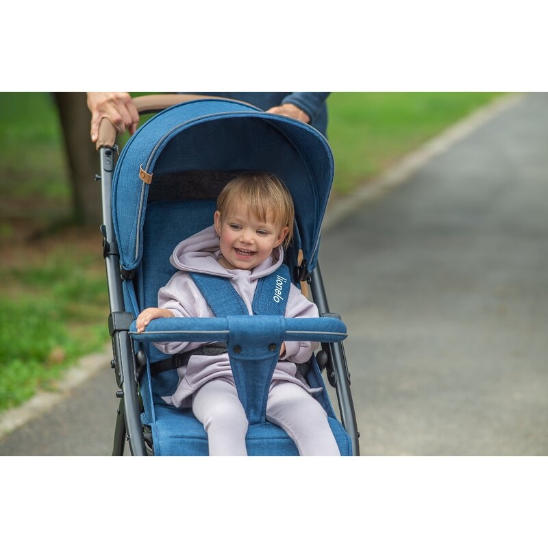 Lionelo - Carucior sport Annet Plus, Editie limitata, De la nastere, Cu accesorii si capotina XXL reglabila, 0 - 22 Kg, Conform cu standardele europene de securitate EN1888-1 si EN1888-2, Negru