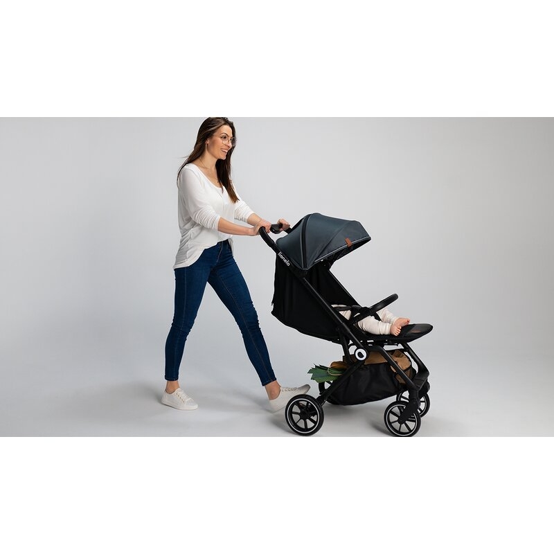 Lionelo - Carucior sport Cloe, De la nastere, Cu accesorii, Cadru din aluminiu, 0-22 kg, Usor, Pliabil cu o singura mana, Ideal pentru toate tipurile de suprafete, Bej