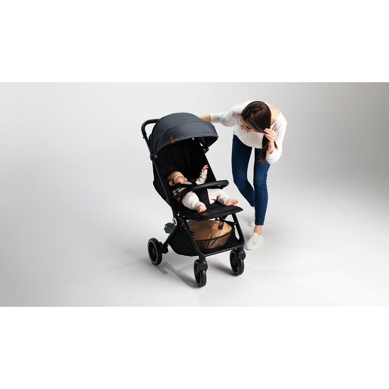 Lionelo - Carucior sport Cloe, De la nastere, Cu accesorii, Cadru din aluminiu, 0-22 kg, Usor, Pliabil cu o singura mana, Ideal pentru toate tipurile de suprafete, Bej