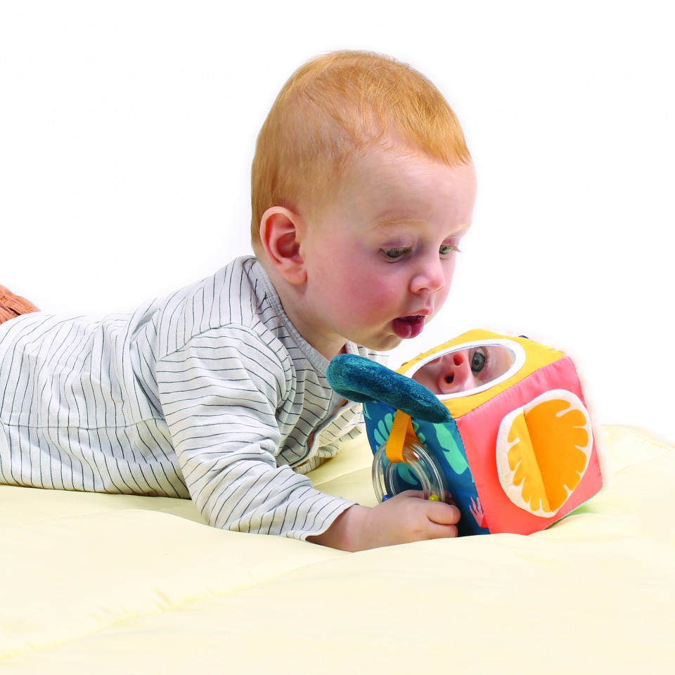LUDI Cub activitati frunza