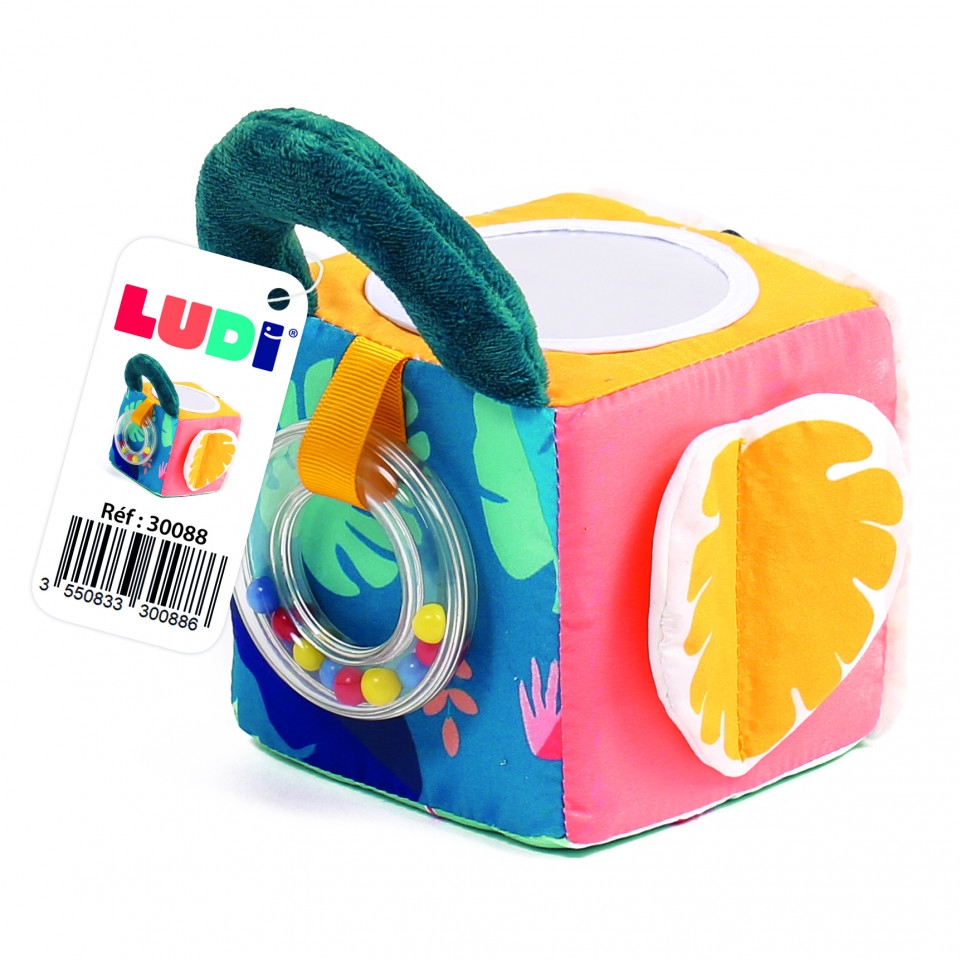 LUDI Cub activitati frunza