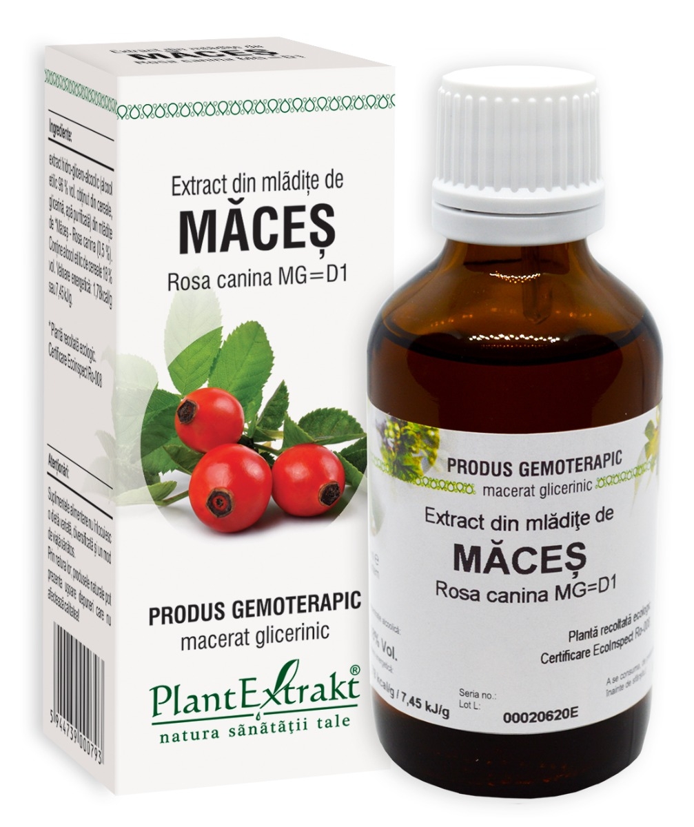 Plantextrakt - Extract din mladite de maces 50ml