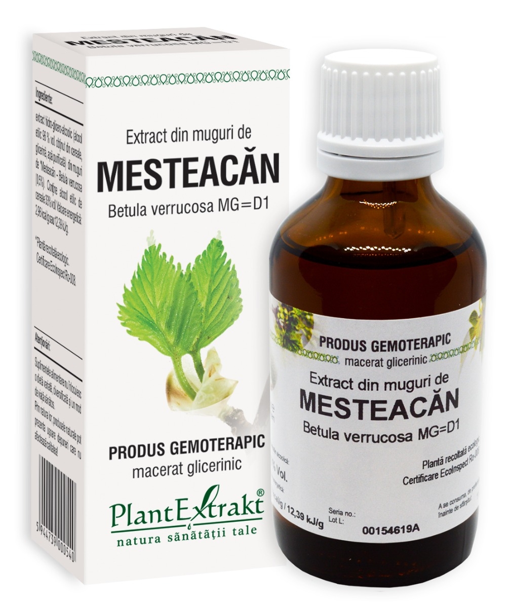 Plantextrakt - Extract din muguri de mesteacan 50ml