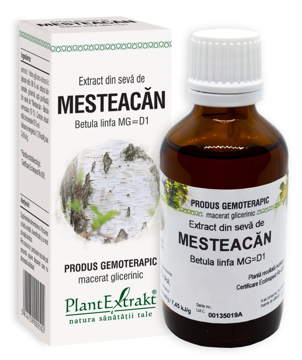 Plantextrakt - Extract din seva de mesteacan 50ml