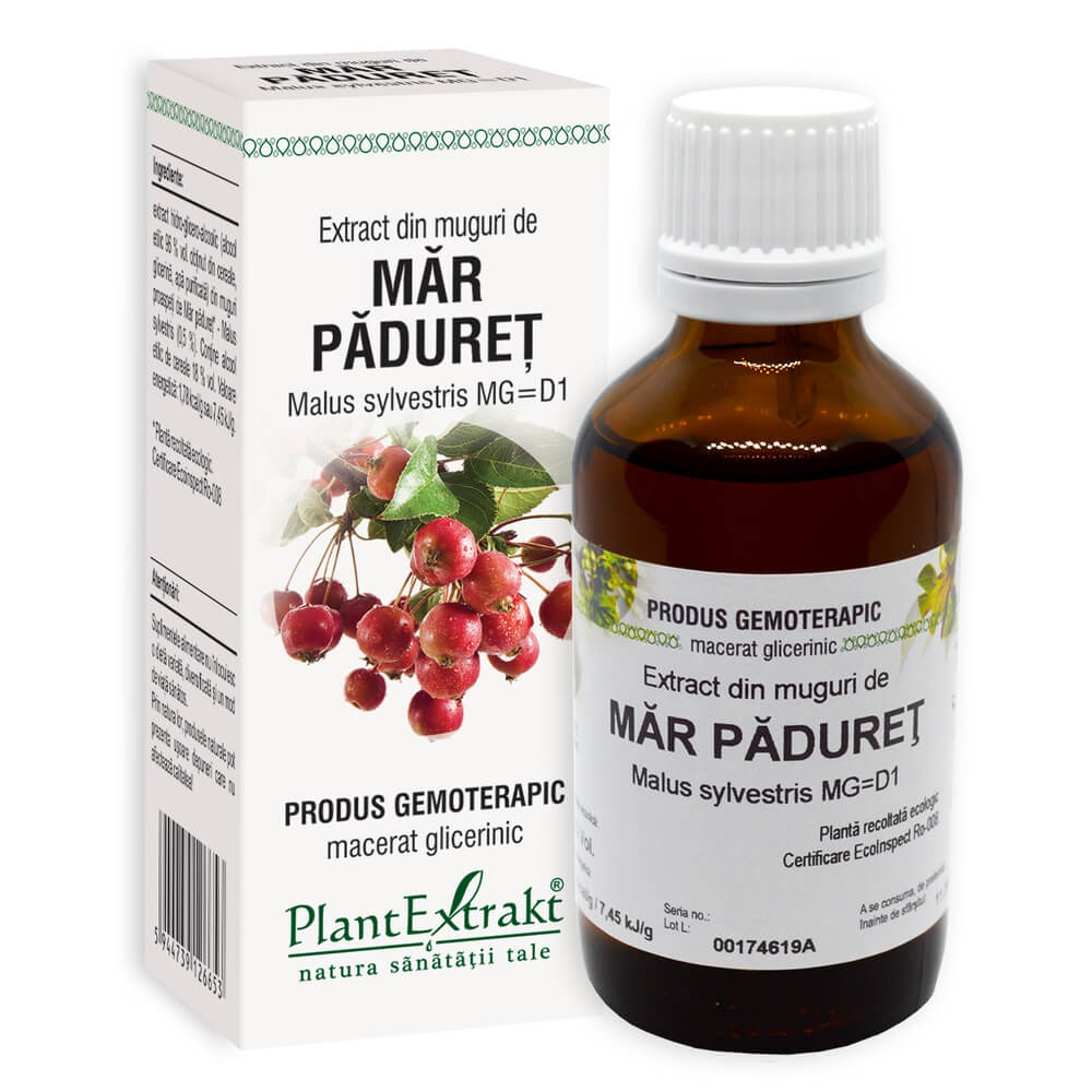 Plantextrakt - Extract din muguri de mar paduret 50ml 