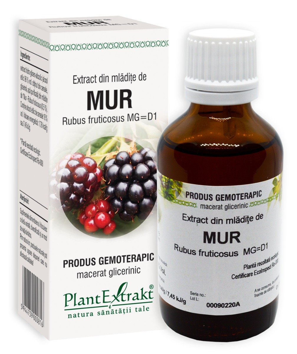 Plantextrakt - Extract din mladite de mur 50ml