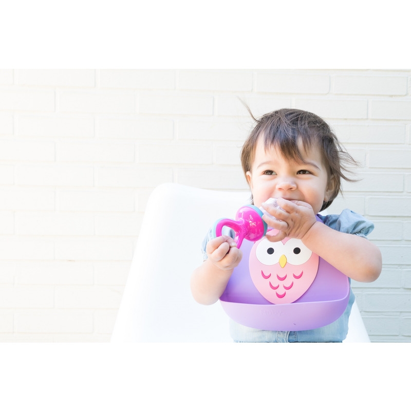 Nuby - Dispozitiv de hranire pentru fructe si legume, Include capac de protectie, 6+ luni, Mov