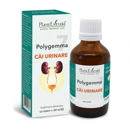 Plantextrakt - Polygemma Nr.7 (Cai urinare) 50ml