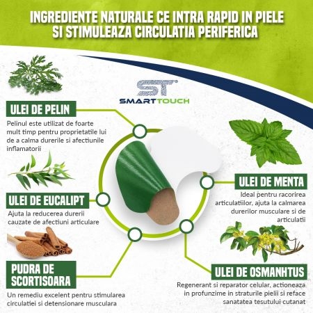 Plasturi cu pelin pentru dureri cervicale, 6 bucati, Smart Touch