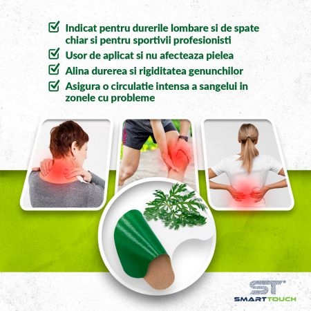 Plasturi cu pelin pentru dureri lombare, 6 bucati, Smart Touch Plasturi cu pelin pentru dureri lombare, 6 bucati, Smart Touch