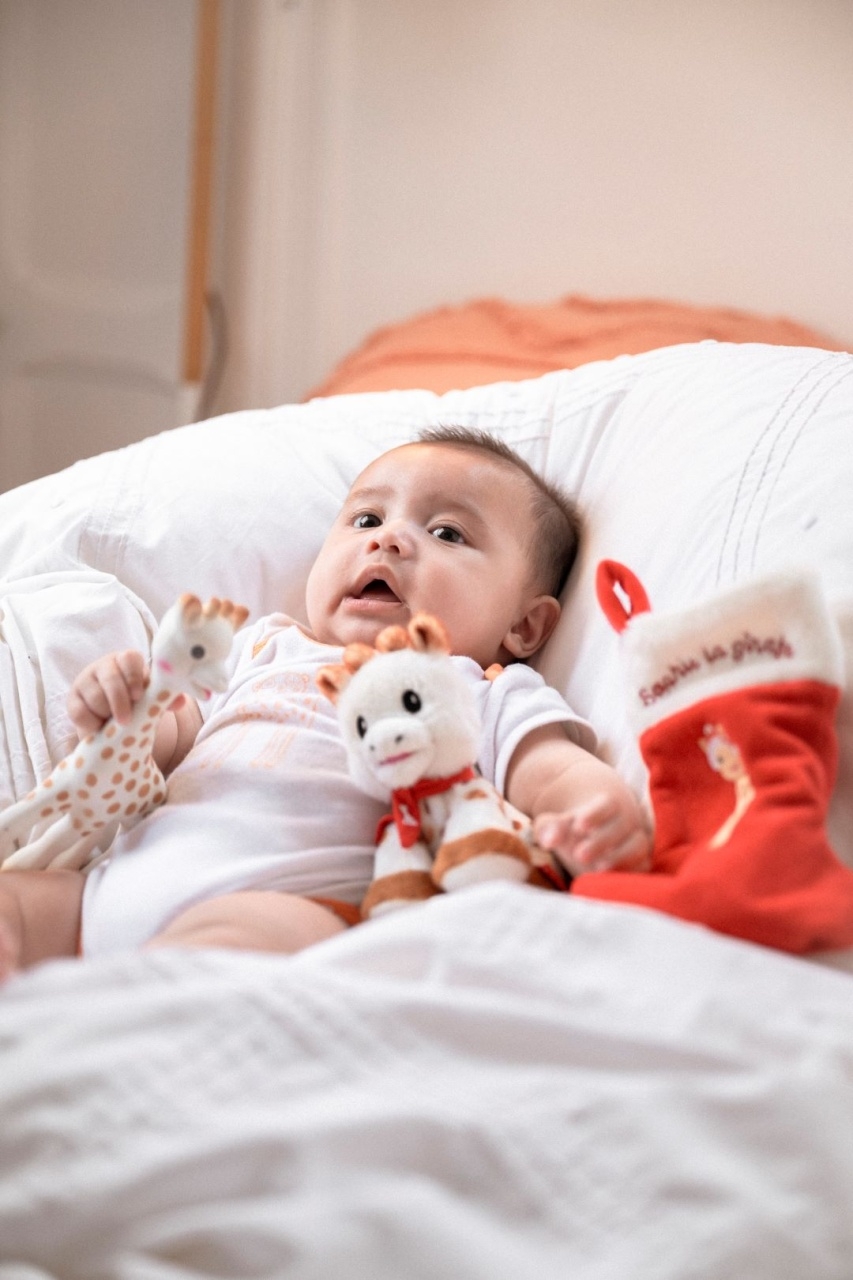 Primul meu Craciun alaturi de girafa Sophie