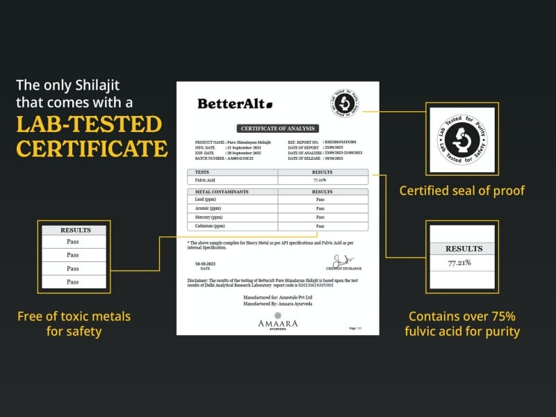 Rasina pura de Shilajit din Himalaya Better Alt, 30 g, GNC