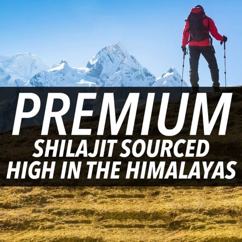 Rasina pura de Shilajit din Himalaya Nugenix, 60 capsule, GNC