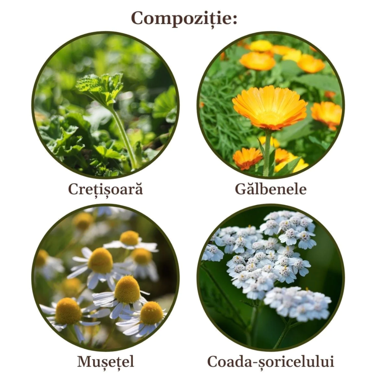 Faunus Plant - Ceai Ginecologicus 90g