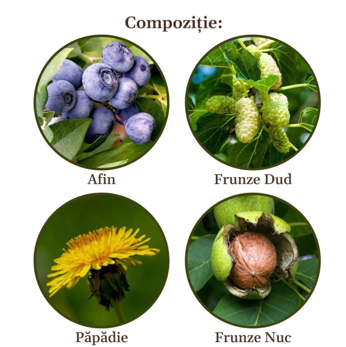 Faunus Plant - Ceai Gliconormus 90g