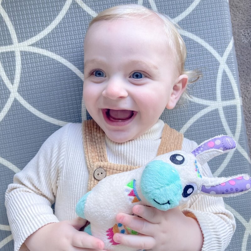 Set jucarii interactive, Playgro, Include 6 cupe pentru stivuire, 6 inele, o jucarie din plus si o jucarie cu ventuza, 6 luni+, Sensory Llama Explore and Play Gift Pack