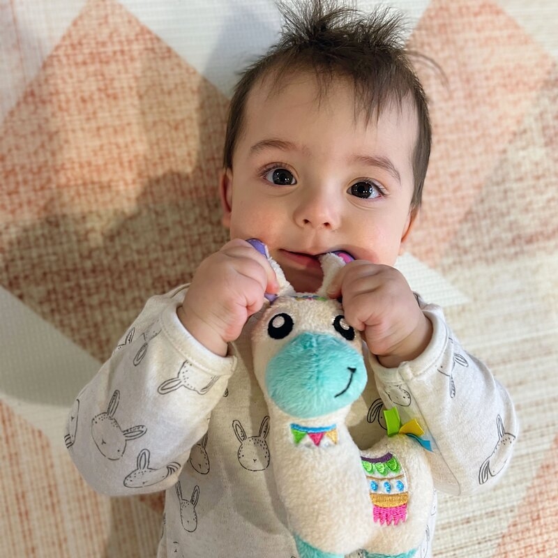 Set jucarii interactive, Playgro, Include 6 cupe pentru stivuire, 6 inele, o jucarie din plus si o jucarie cu ventuza, 6 luni+, Sensory Llama Explore and Play Gift Pack
