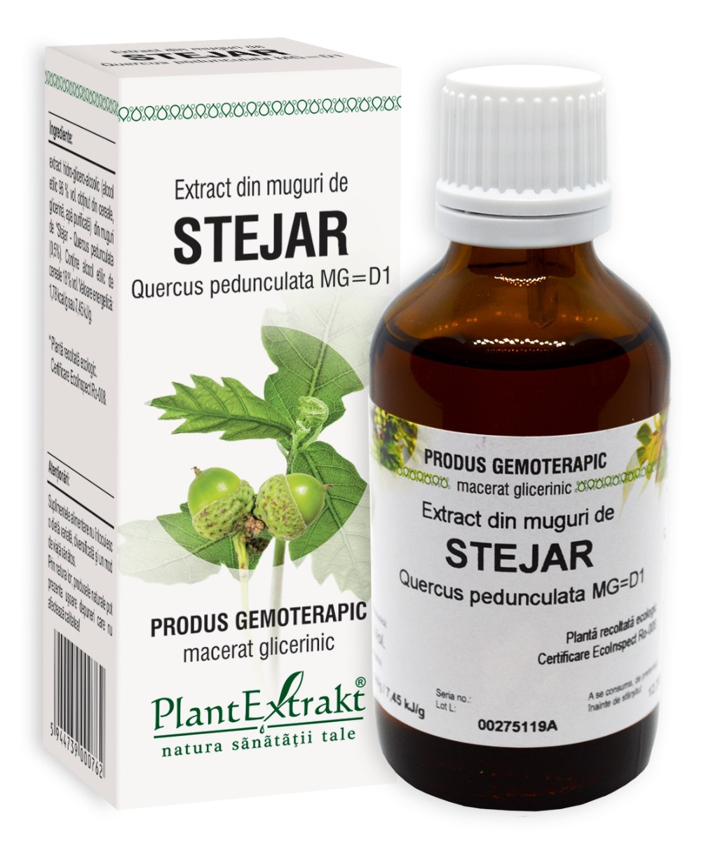 Plantextrakt - Extract din muguri de stejar 50ml