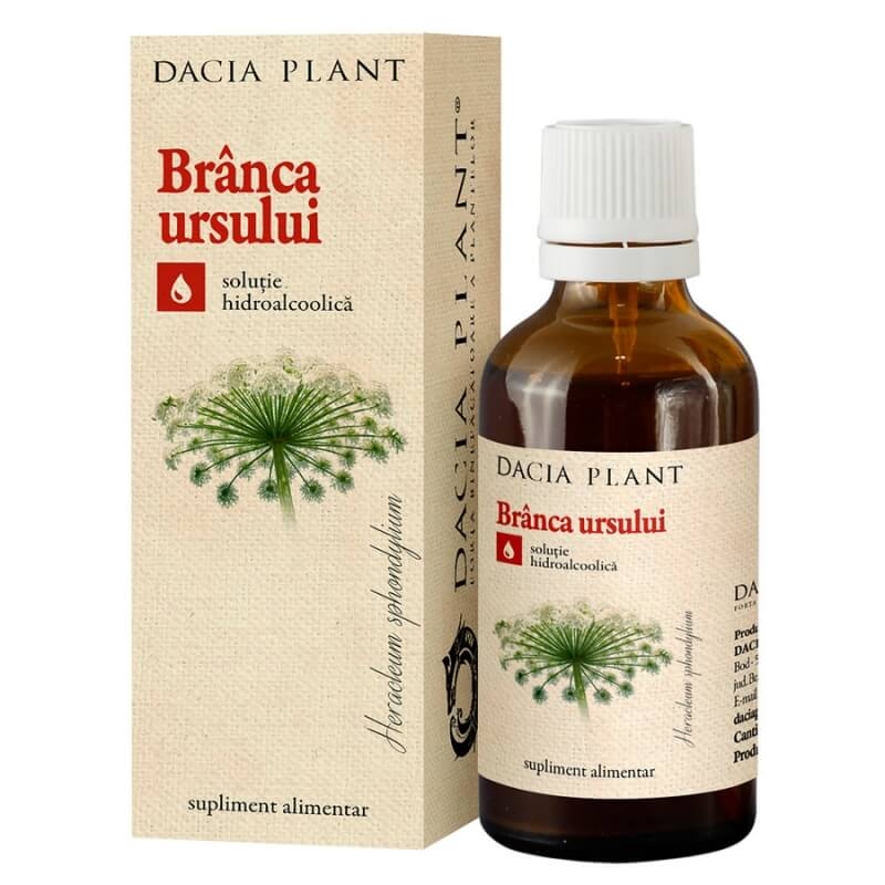 Tinctura de Branca Ursului, 50 ml, Dacia Plant Tinctura de Branca Ursului, 50 ml, Dacia Plant