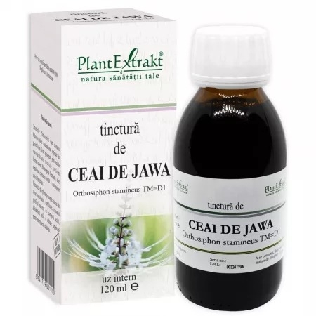 Tinctura de Ceai de Jawa, 120 ml, Plantextrakt