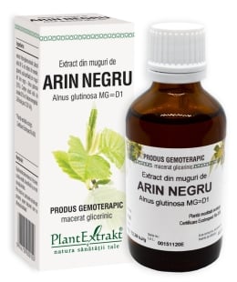 Plantextrakt - Extract din muguri de arin negru 50ml