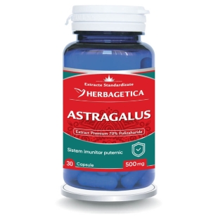 Astragalus, 500 mg, 30 capsule, Herbagetica
