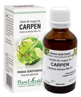 Plantextrakt - Extract din muguri de carpen 50ml