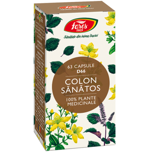 Colon sanatos (D66) 63caps., Fares