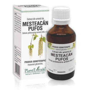 Extract din amenti de Mesteacan Pufos, 50 ml, PlantExtrakt