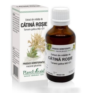 Extract din mladite de Catina Rosie, 50 ml, PlantExtrakt