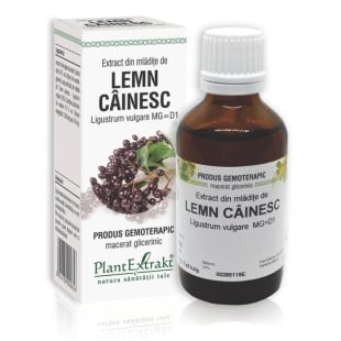 Extract din mladite de Lemn Cainesc, 50 ml, PlantExtrakt