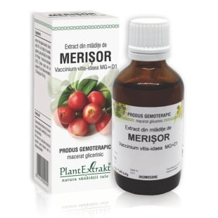 Extract din mladite de Merisor, 50 ml, PlantExtrakt